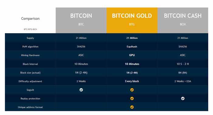 bitcoin gold coin