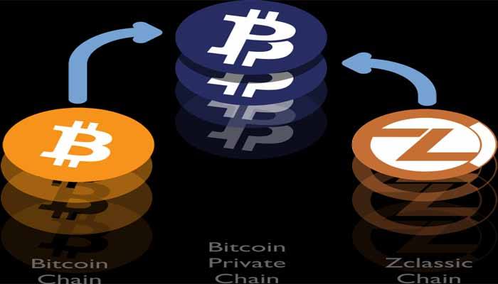 what is bitcoin private