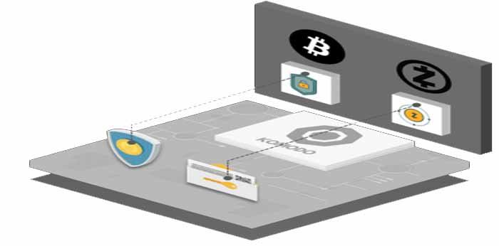 komodo coin