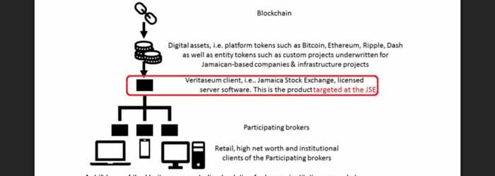 veritaseum coin